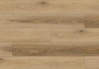 Каменно-полимерный SPC ламинат Floor Expert Infinity / Инфинити 413 Дуб Аликанте